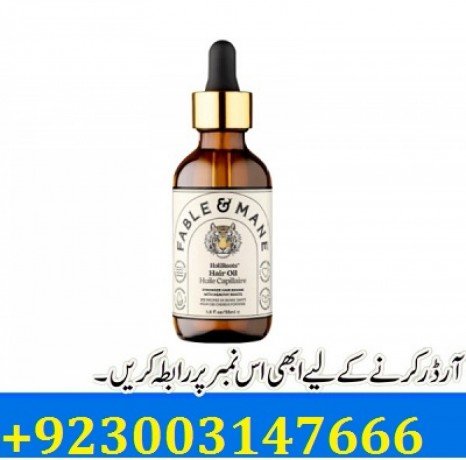 holiroots-hair-oil-in-hyderabad-03003147666-big-0