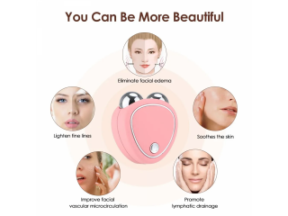 Mini Portable Face Slimming Massager, Well Mart, 03208727951