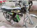 pe-70d-pakzon-electric-bikes-small-1