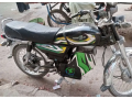 pe-70d-pakzon-electric-bikes-small-2