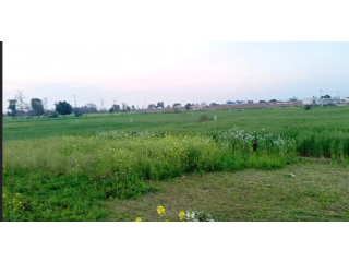 8 Acer Agricultural Land For Sale
