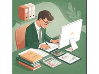 Accountant