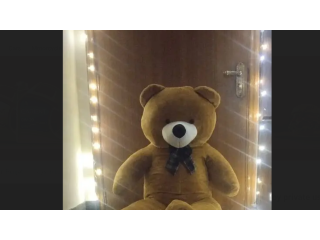 Teddy Bears/Big Size Teddy Bear/Stuff Toys/Birthday/anniversary Gift