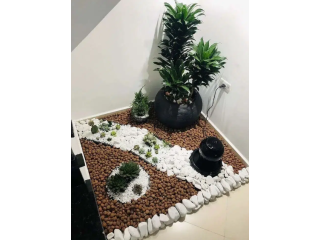 Al-Haider Nursery Indoor plansts Garden Decoration gardening metrail