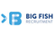 Assistant Finance Manager - Big Fish Recruitment